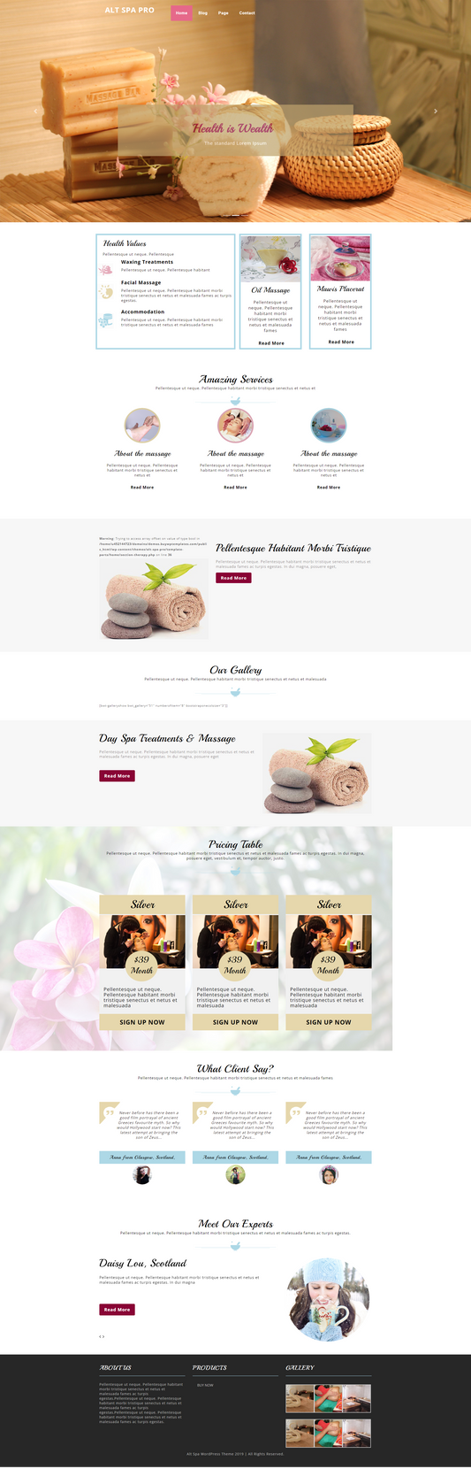 Spa WordPress Theme